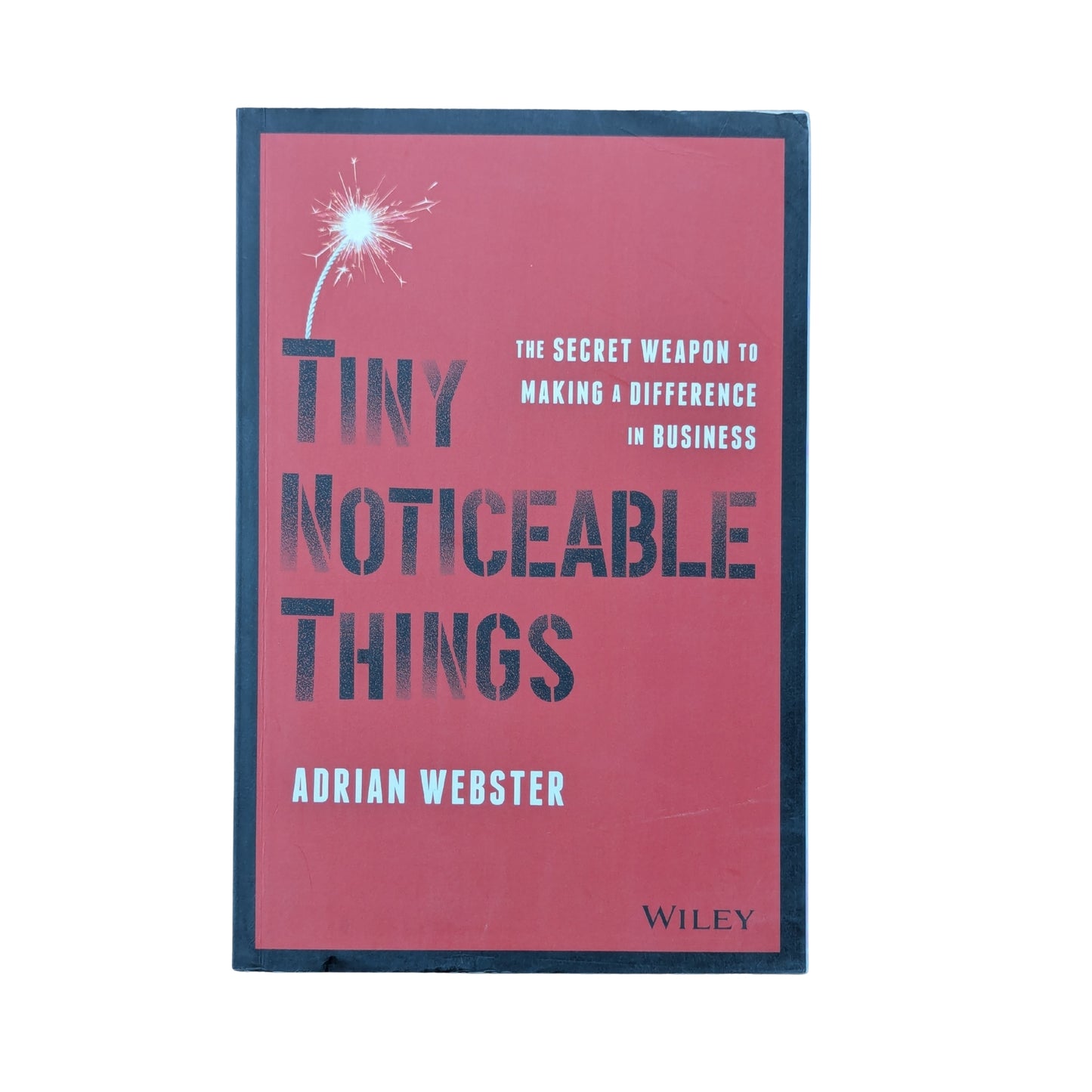Tiny Noticeable Things: The Secret Weapon to Making a Difference in Business