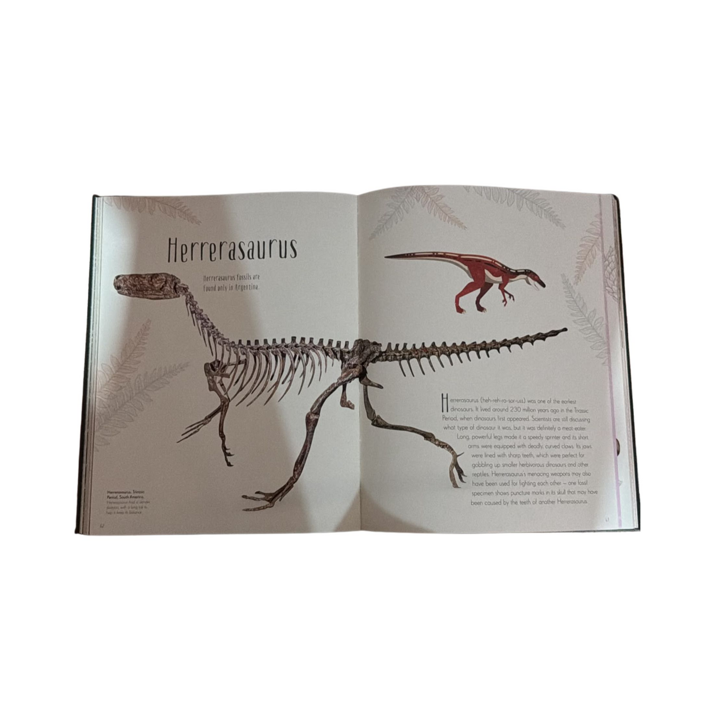 Dinosaurs And Other Prehistoric Life