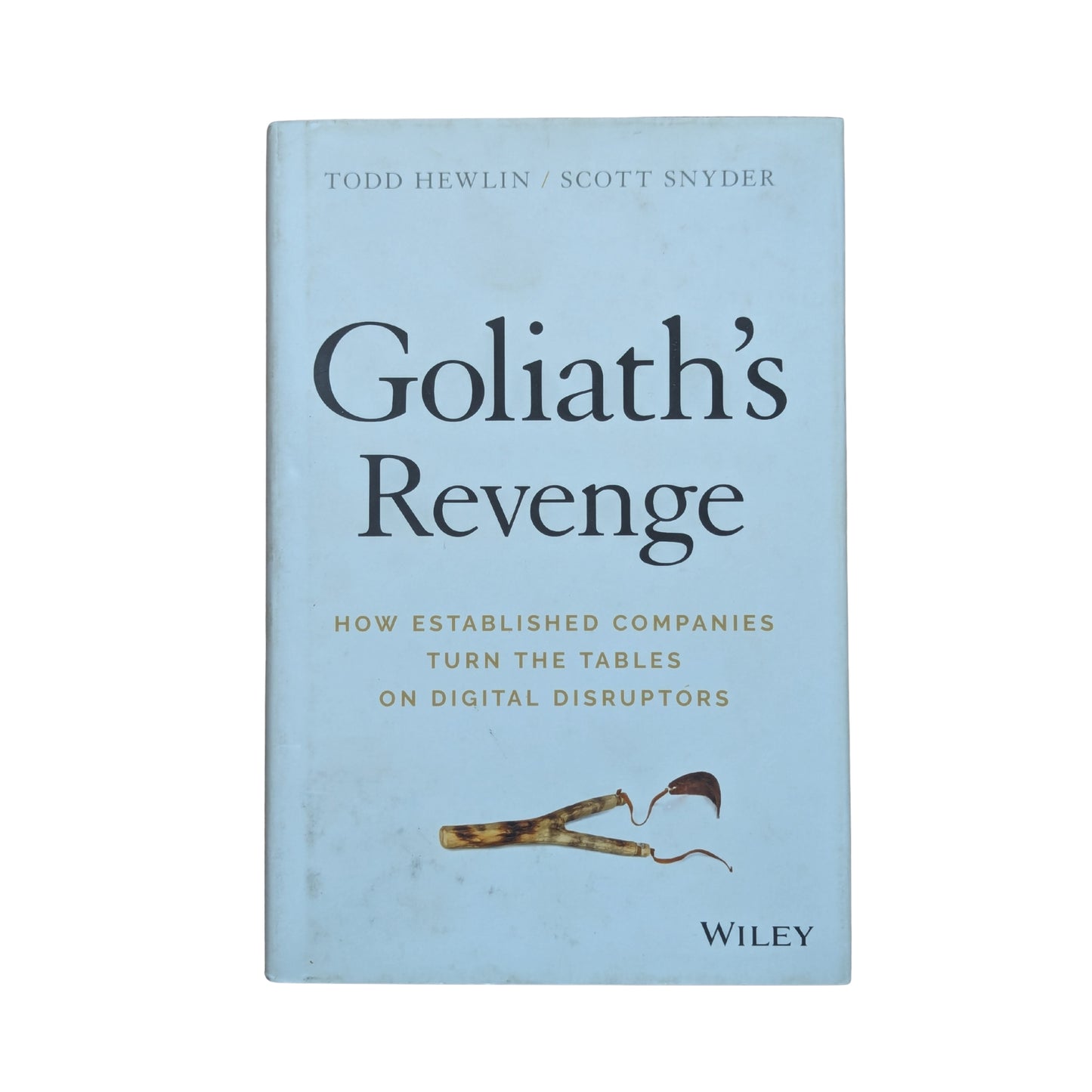 Goliath's Revenge: How Established Companies Turn the Tables on Digital Disruptors