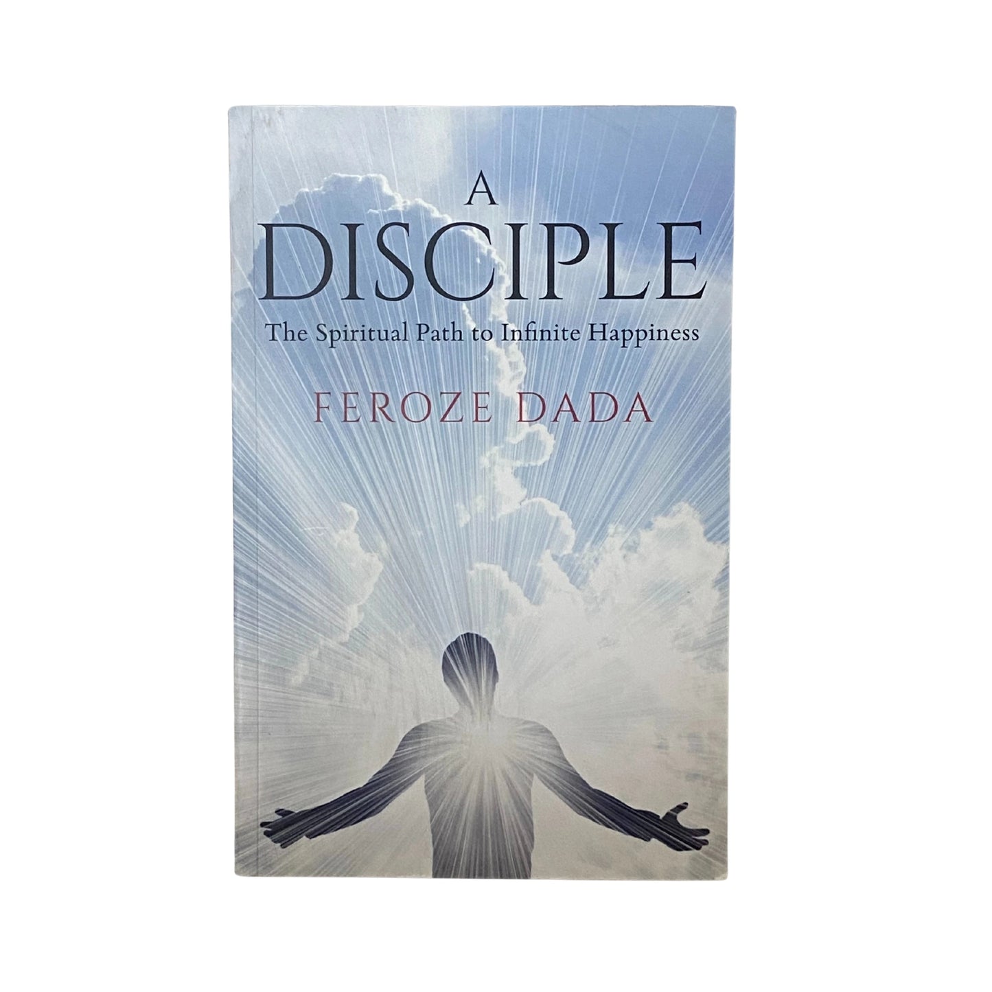 A Disciple The Spiritual Path to Infinite Happiness