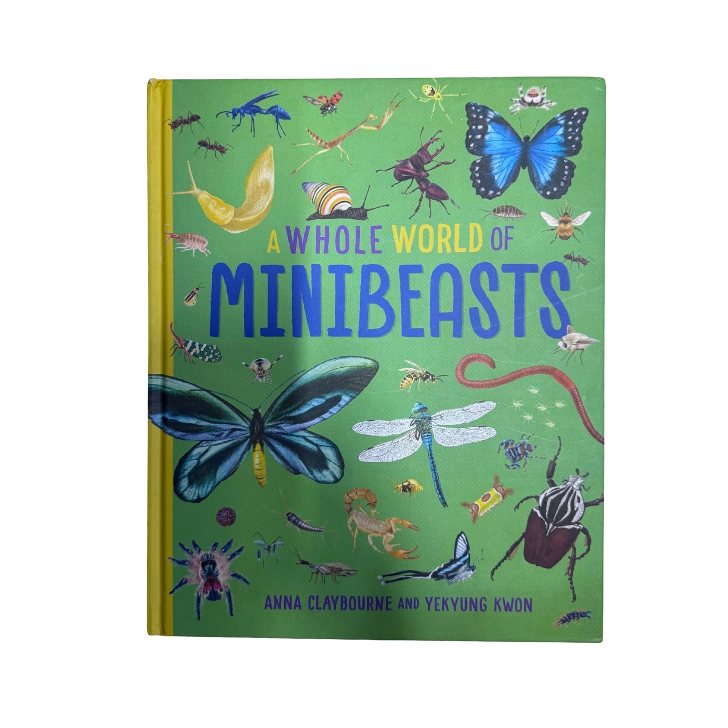 A Whole World Of...: Minibeasts