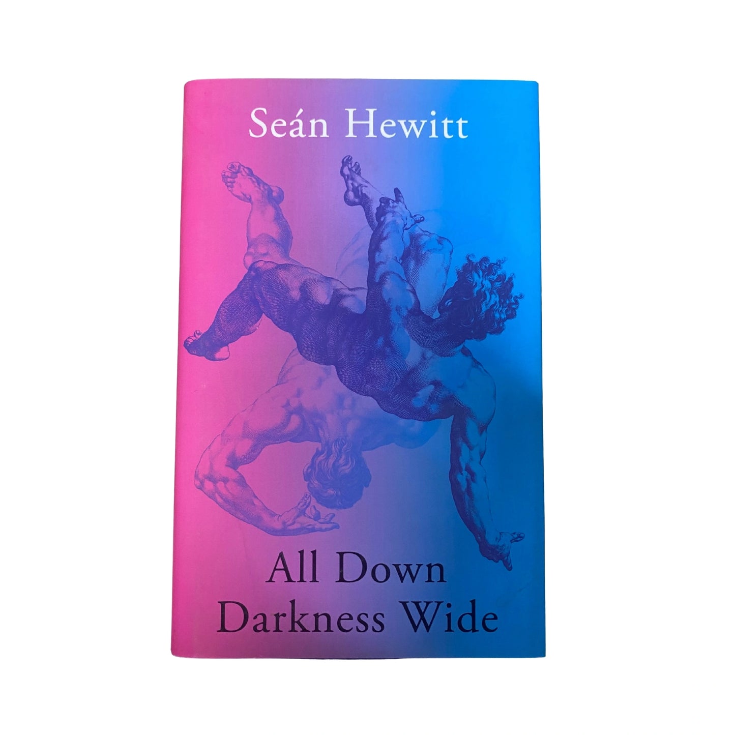 All Down Darkness Wide