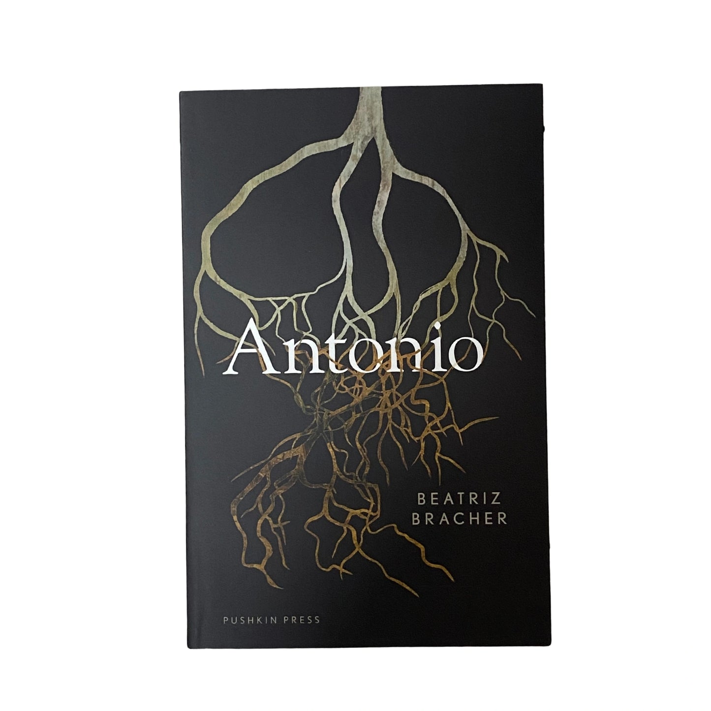 Antonio