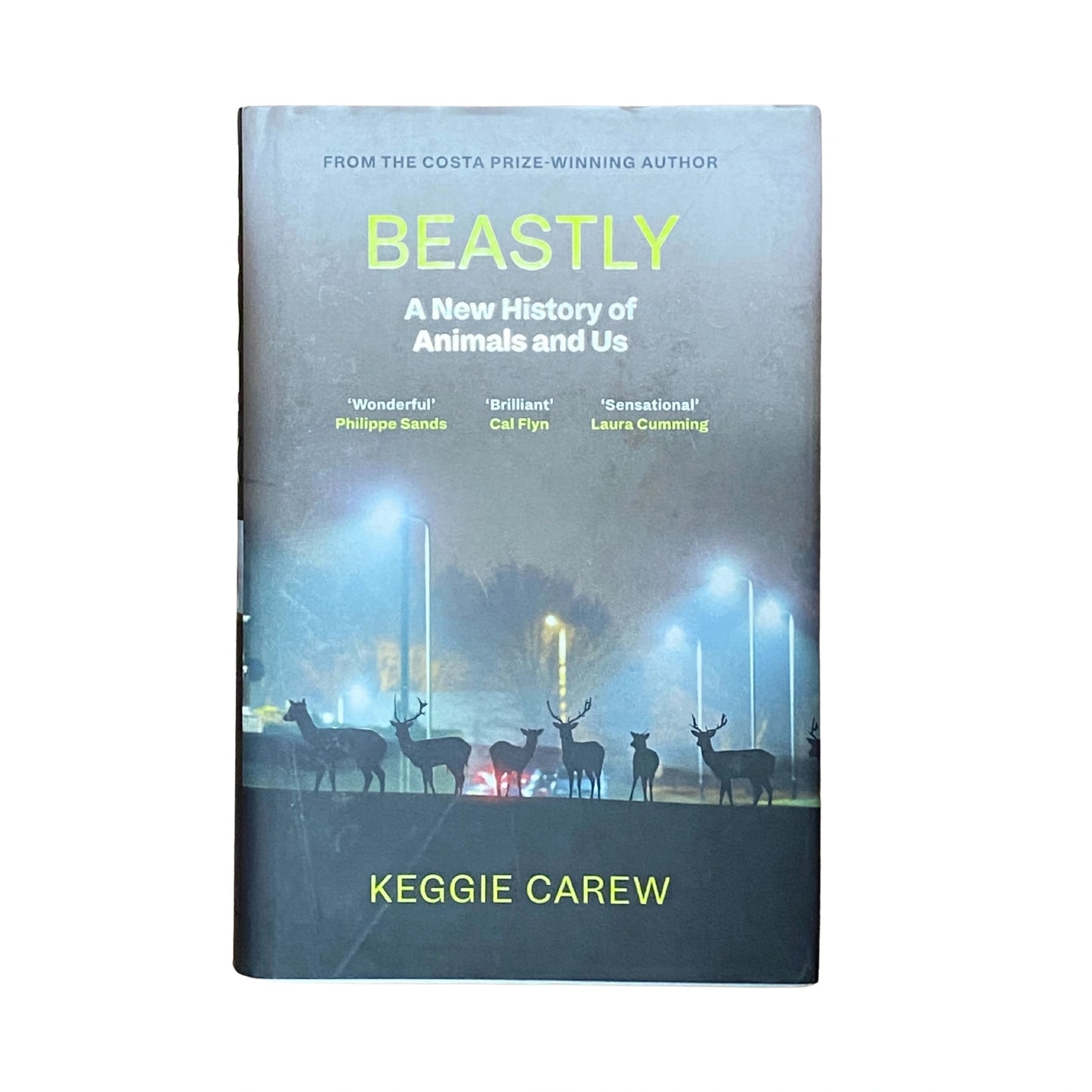 Beastly A New History of Animals and Us