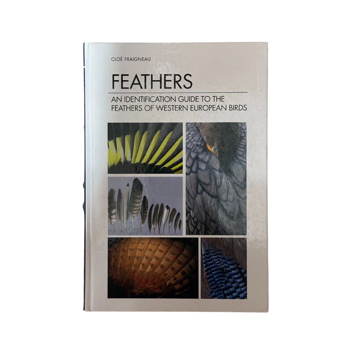 Feathers An Identification Guide to the Feathers of Western European Birds