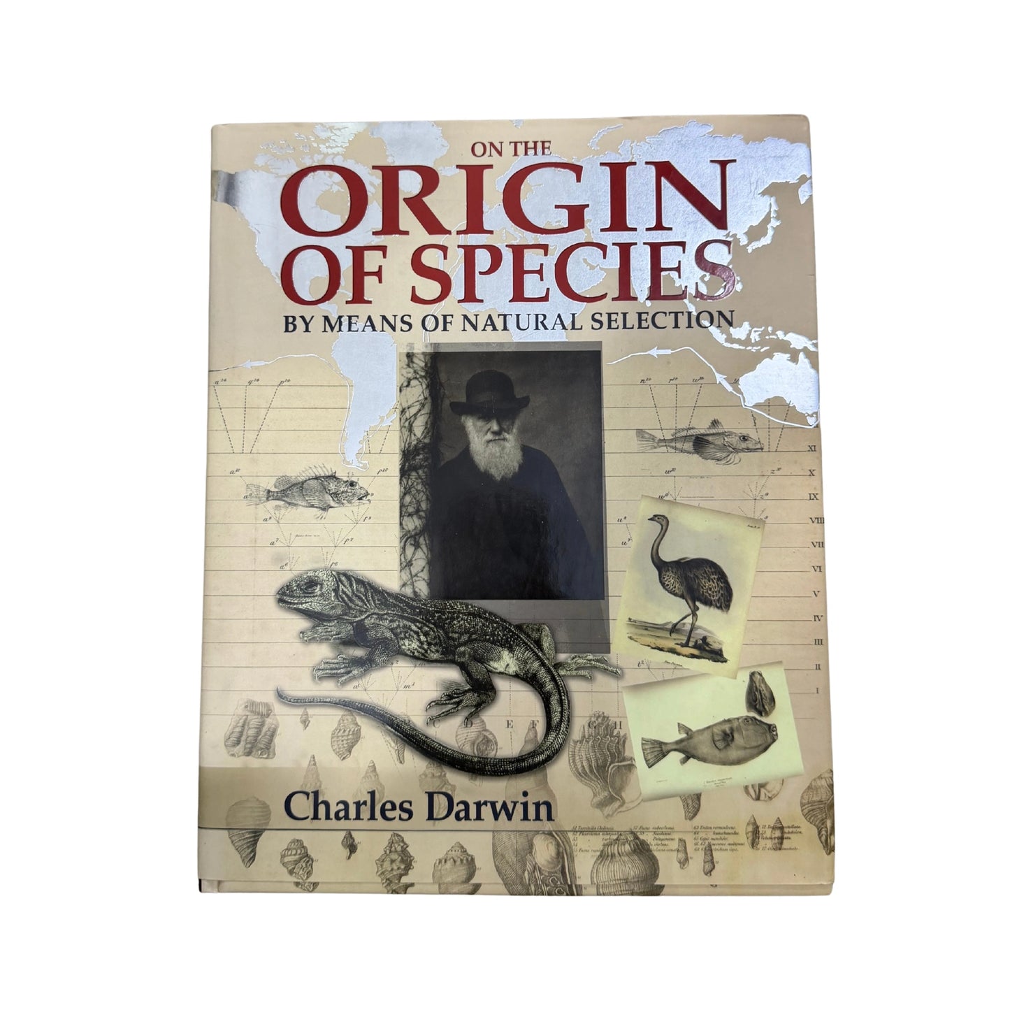 On the Origin of Species by Means of Natural Selection