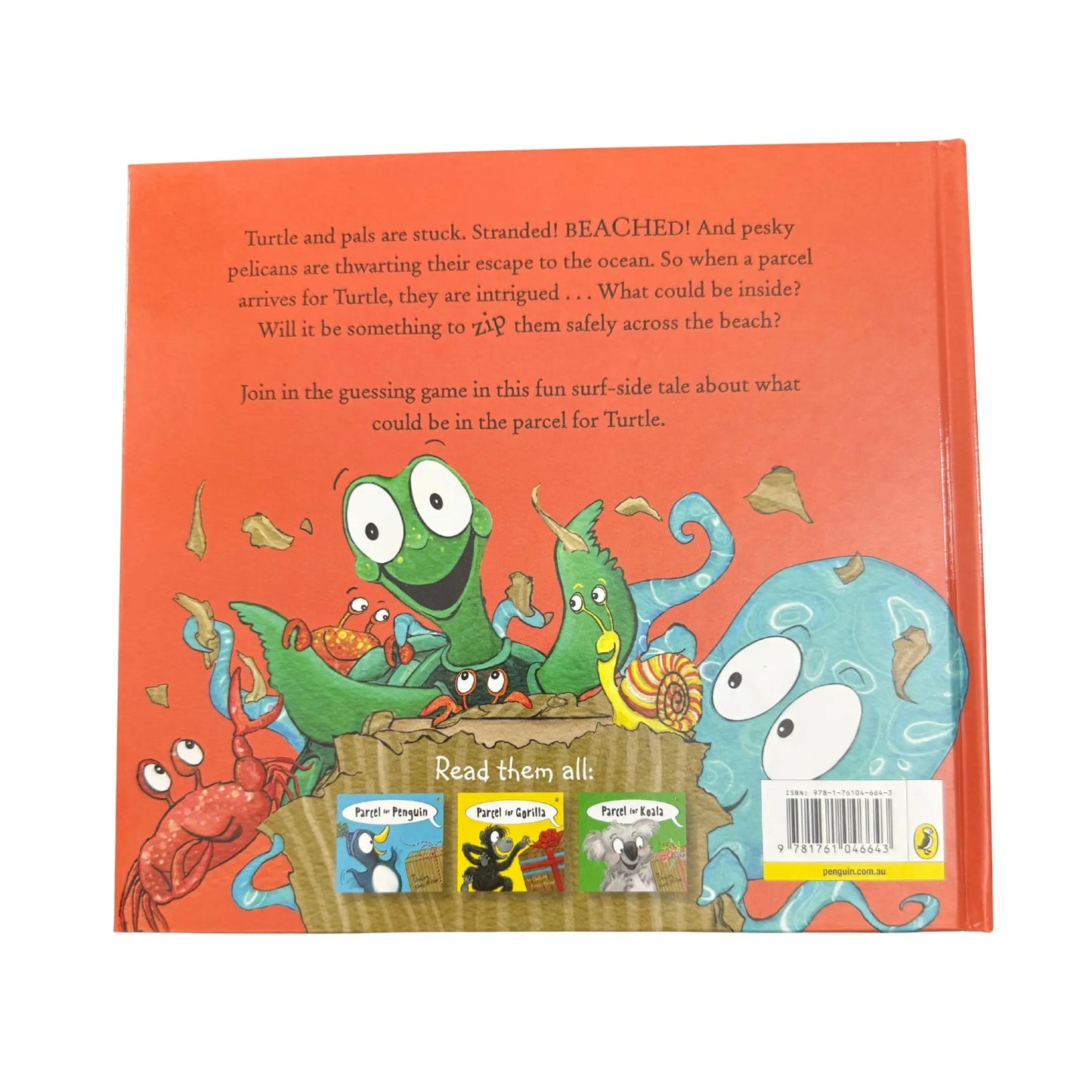 Parcel For Turtle