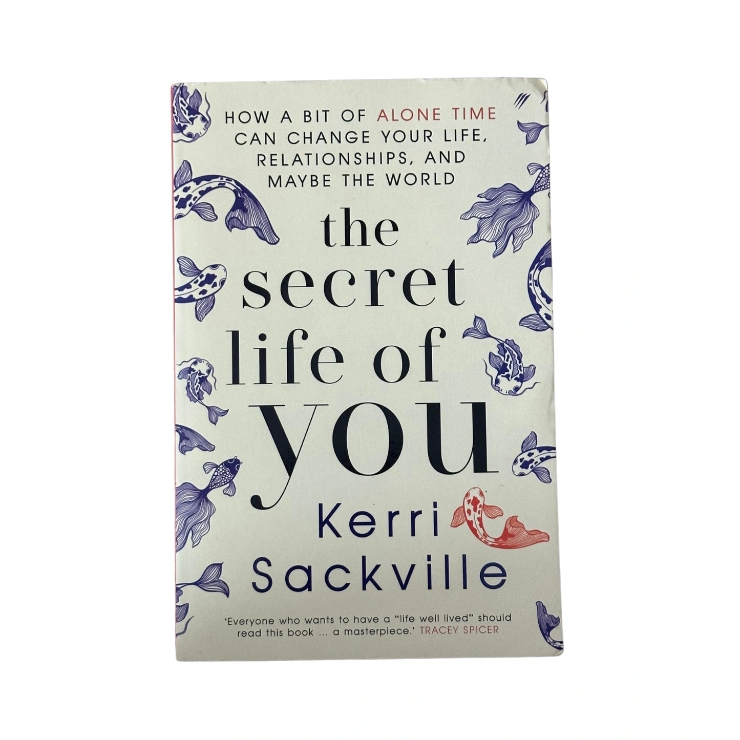 The Secret Life of You How a Bit of Alone Time Can Change Your Life, Relationships, and Maybe the World