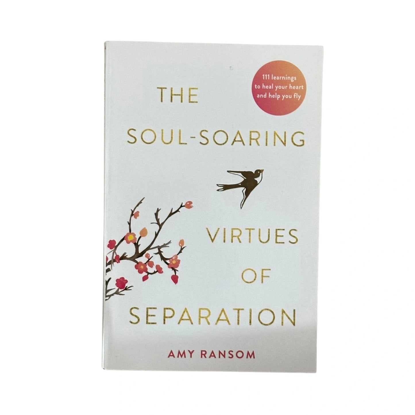 The soul soaring
