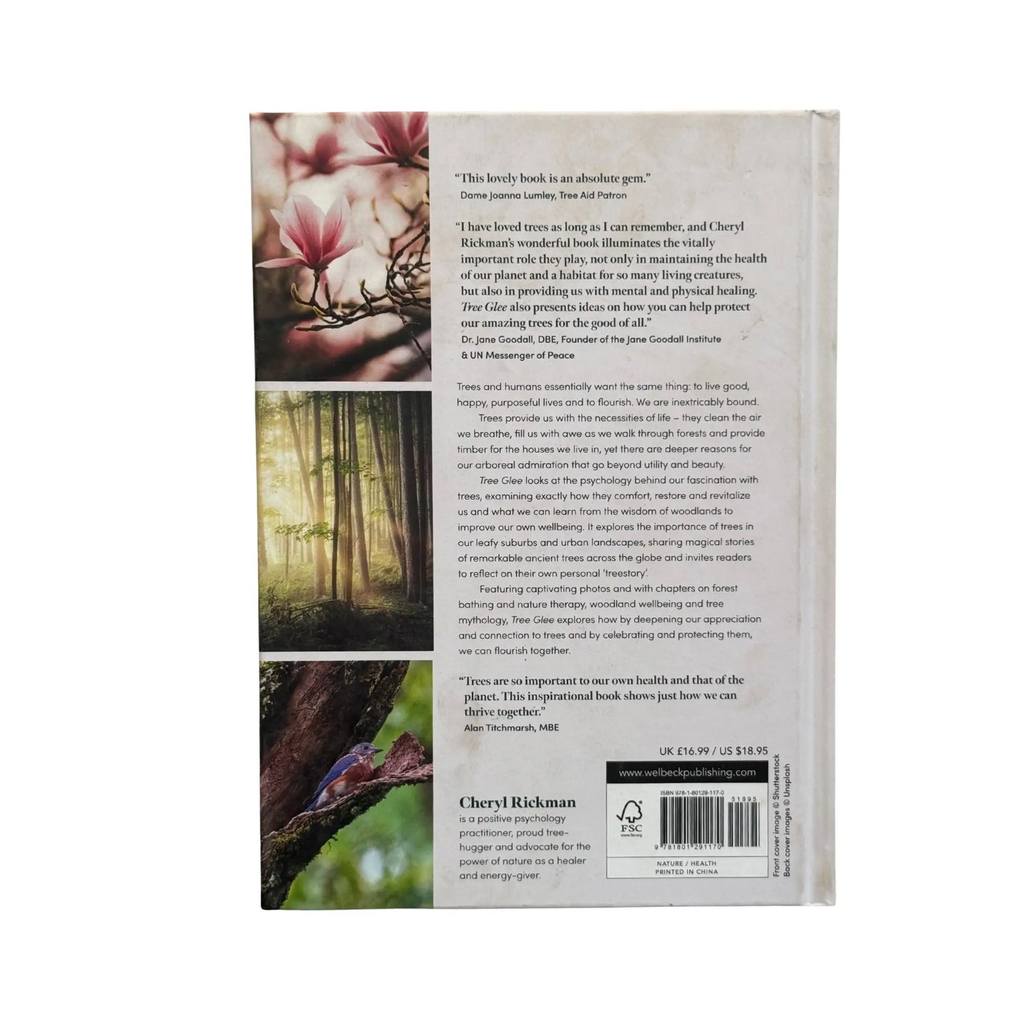 Tree Glee: How and Why Trees Make Us Feel Better