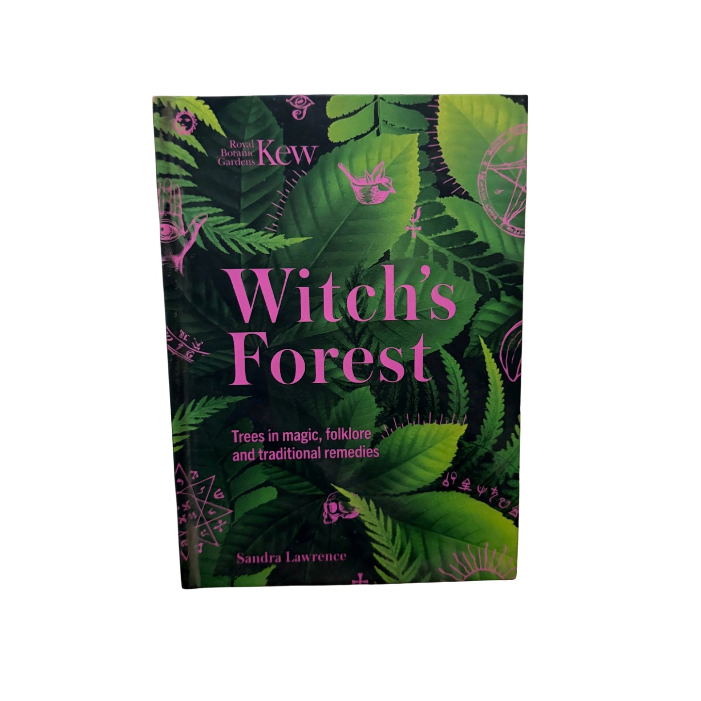 Witch's Forest Trees in Magic, Folklore and Traditional Remedies