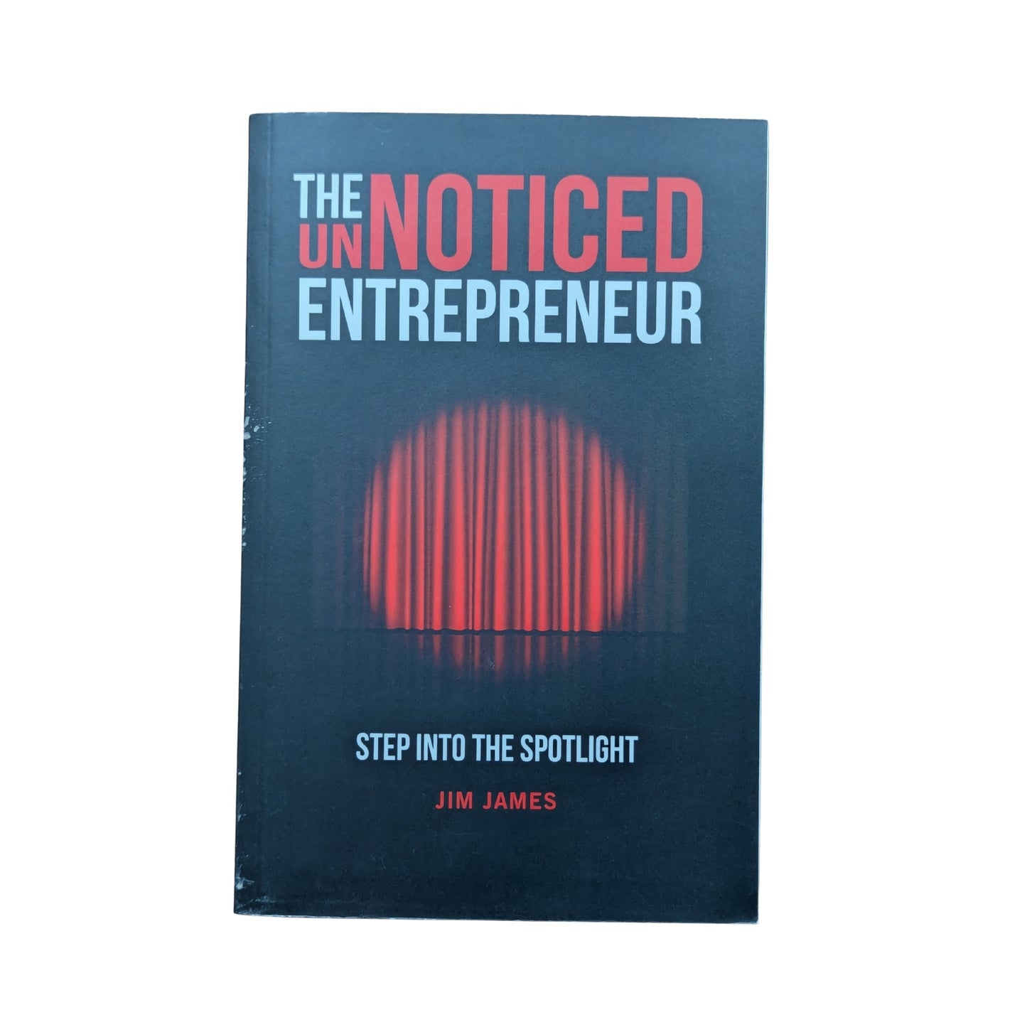 The UnNoticed Entrepreneur, Book 1: Step Into the Spotlight