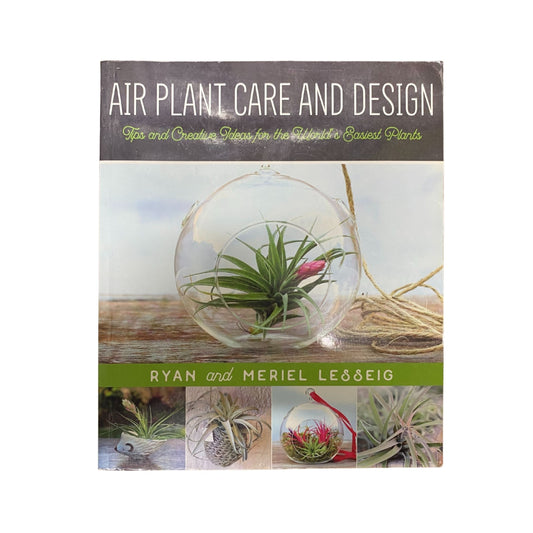 Air Plant Care and Design Tips and Creative Ideas for the World's Easiest Plants