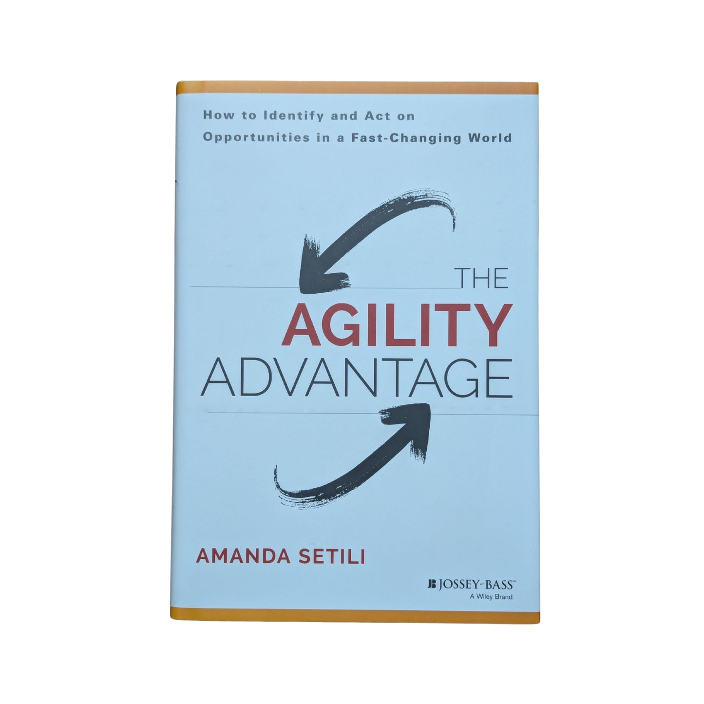The Agility Advantage How to Identify and Act on Opportunities in a Fast-Changing World
