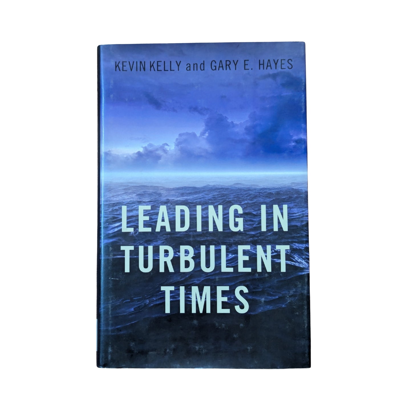 Leading in Turbulent Times