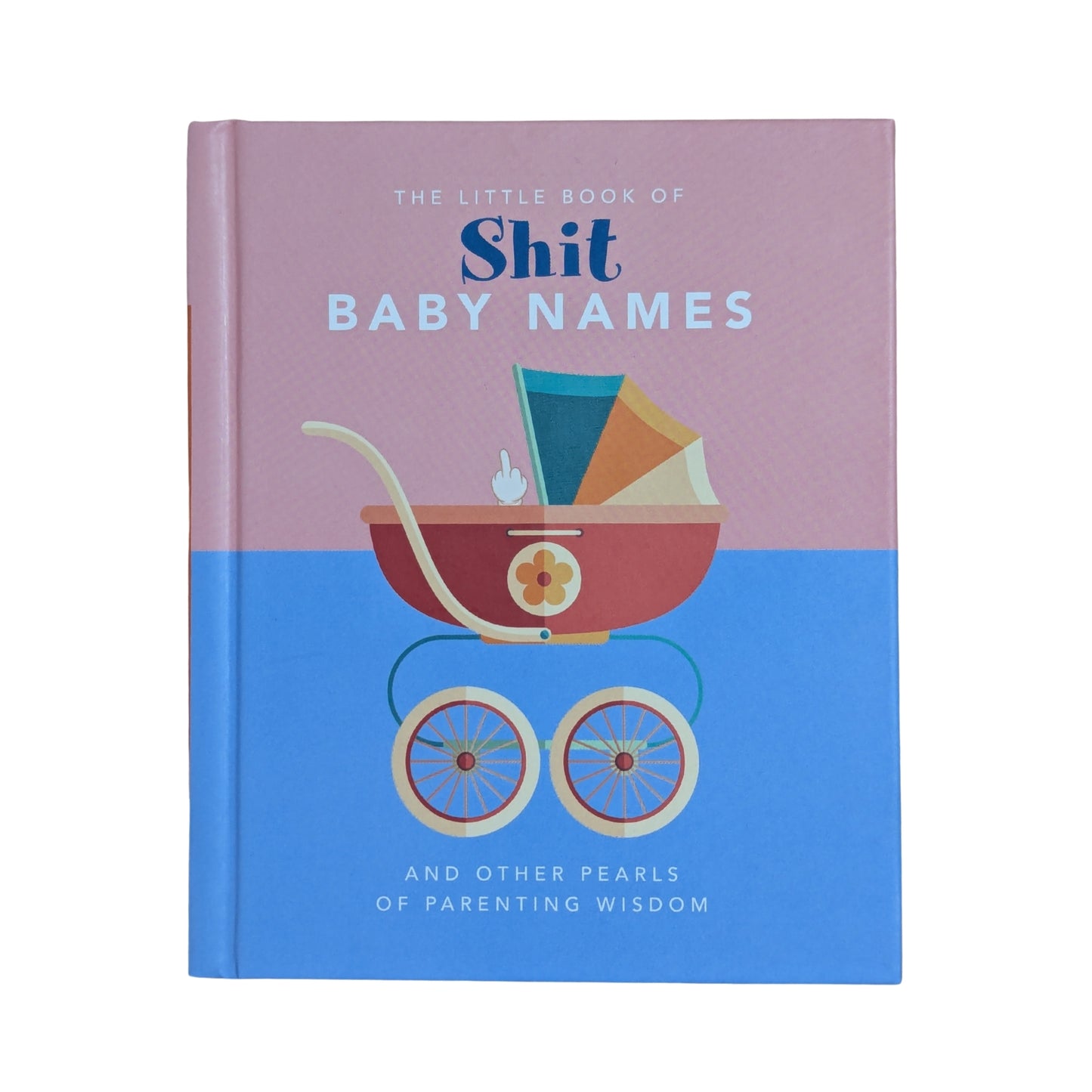 Little Book of Shit Baby Names