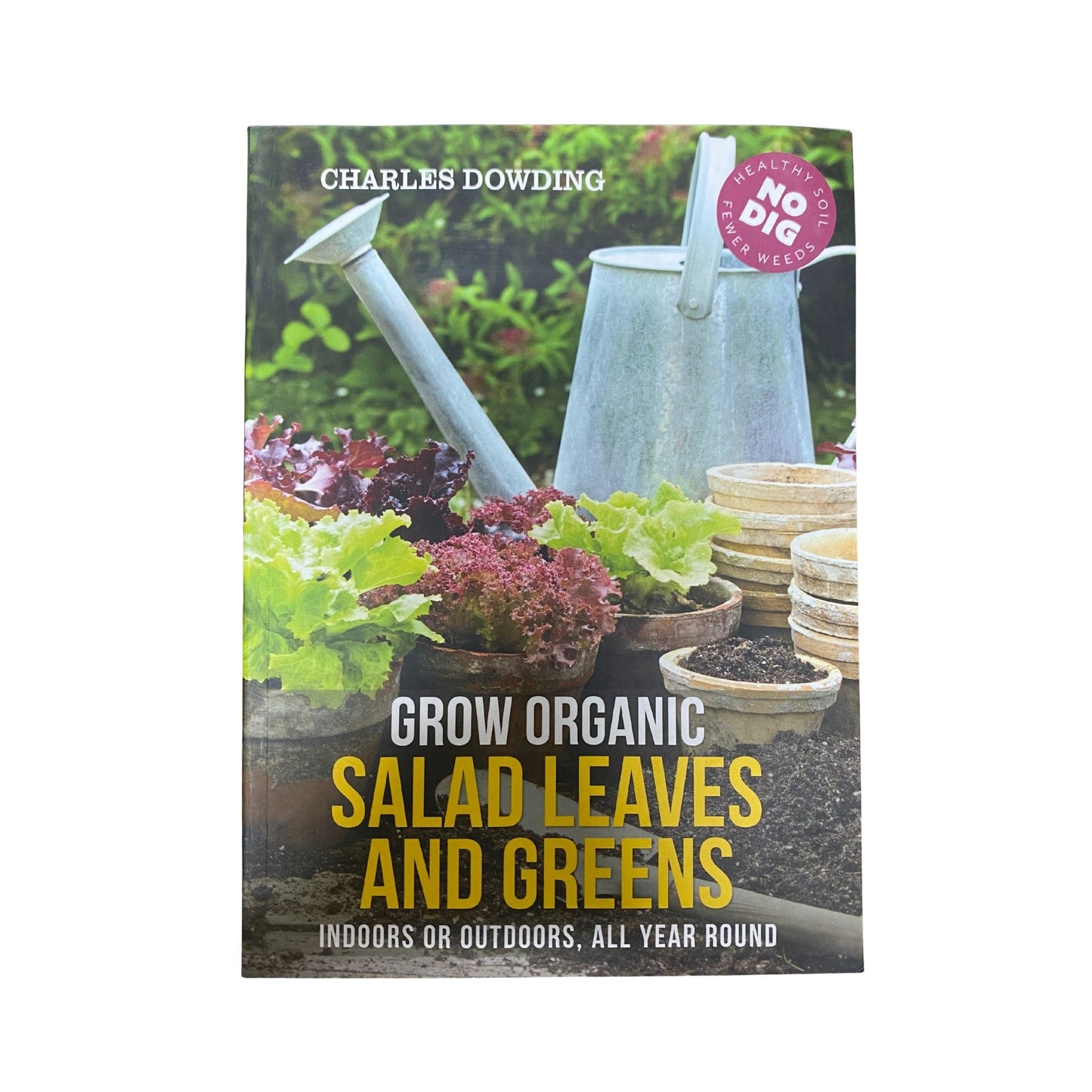 Grow Organic Salad Leaves and Greens Indoors Or Outdoors, All Year Round