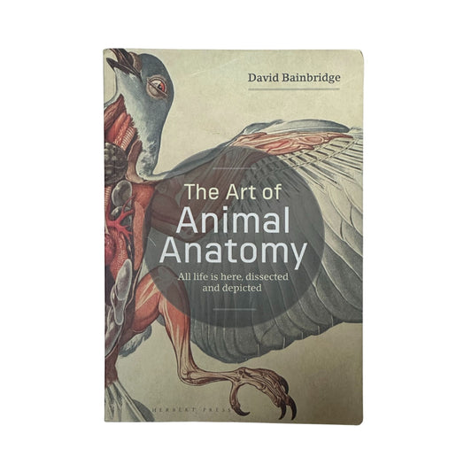 The Art of Animal Anatomy: All life is here, dissected and depicted