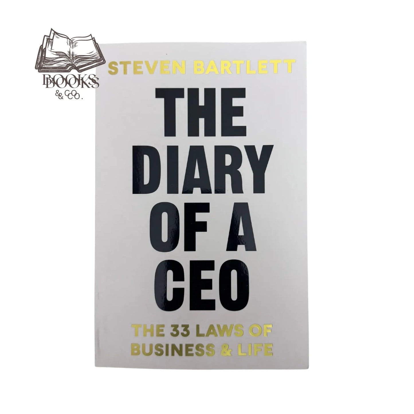 The Diary Of A Ceo (paperback)