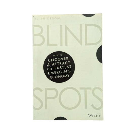 Blind Spots How to Uncover and Attract the Fastest Emerging Economy
