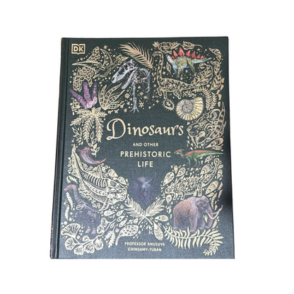 Dinosaurs And Other Prehistoric Life