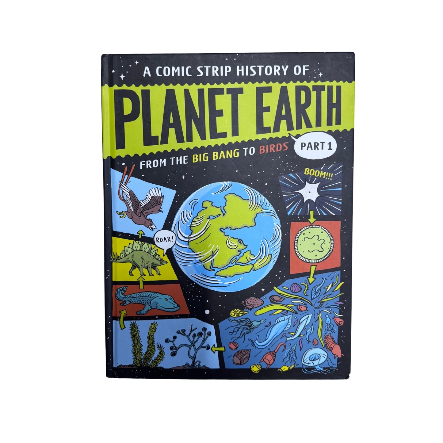 A Comic Strip History of Planet Earth From the Big Bang to Birds