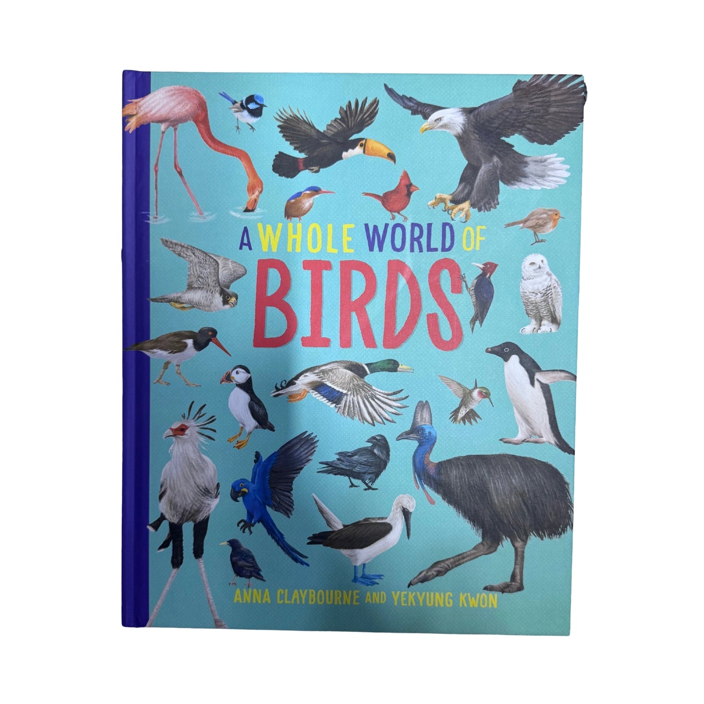A Whole World Of...: Birds