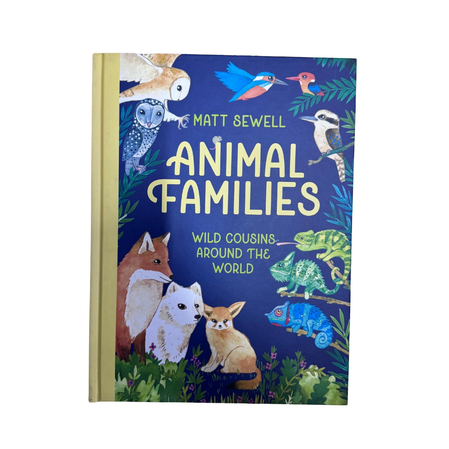 Animal Families Wild Cousins Around the World