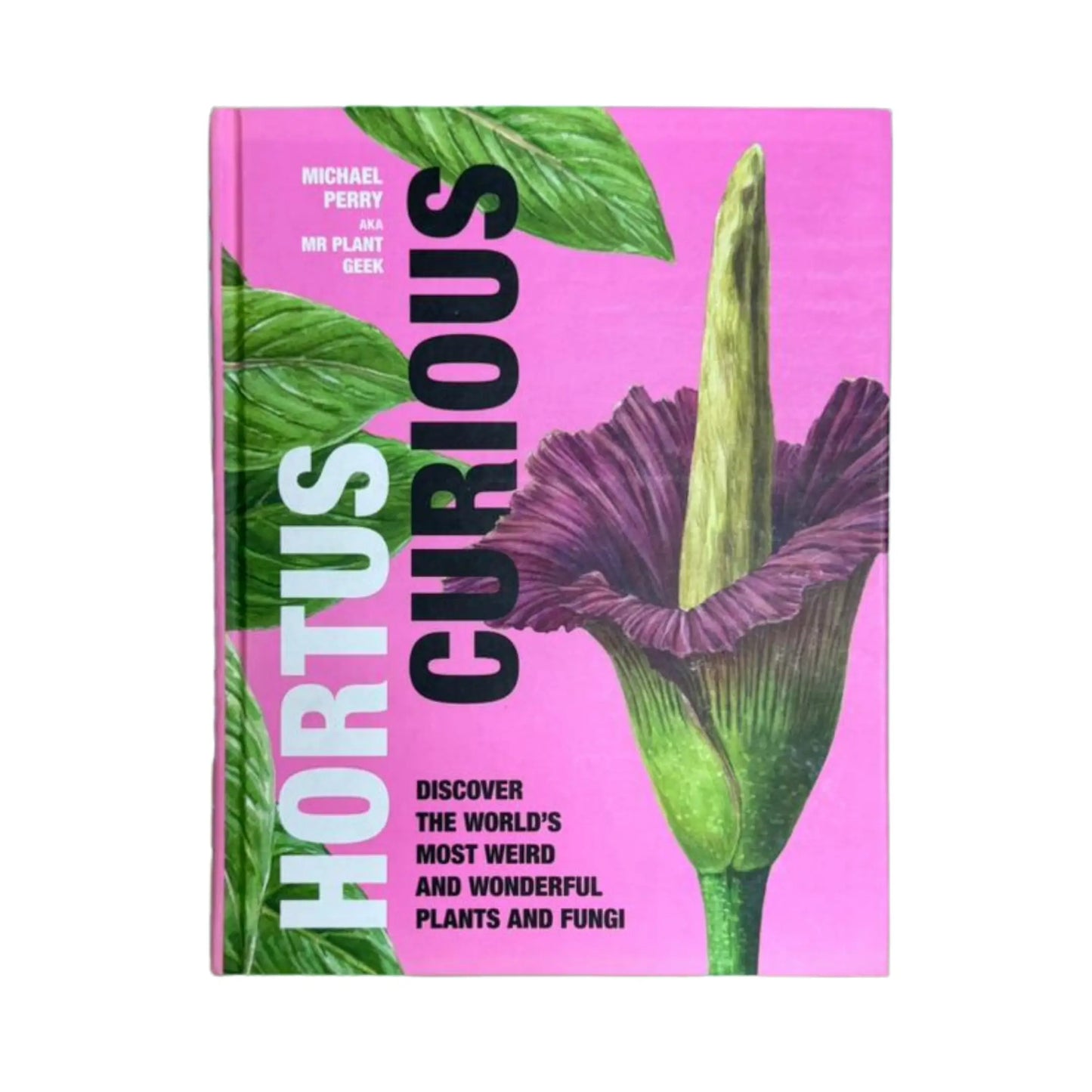 Hortus Curious