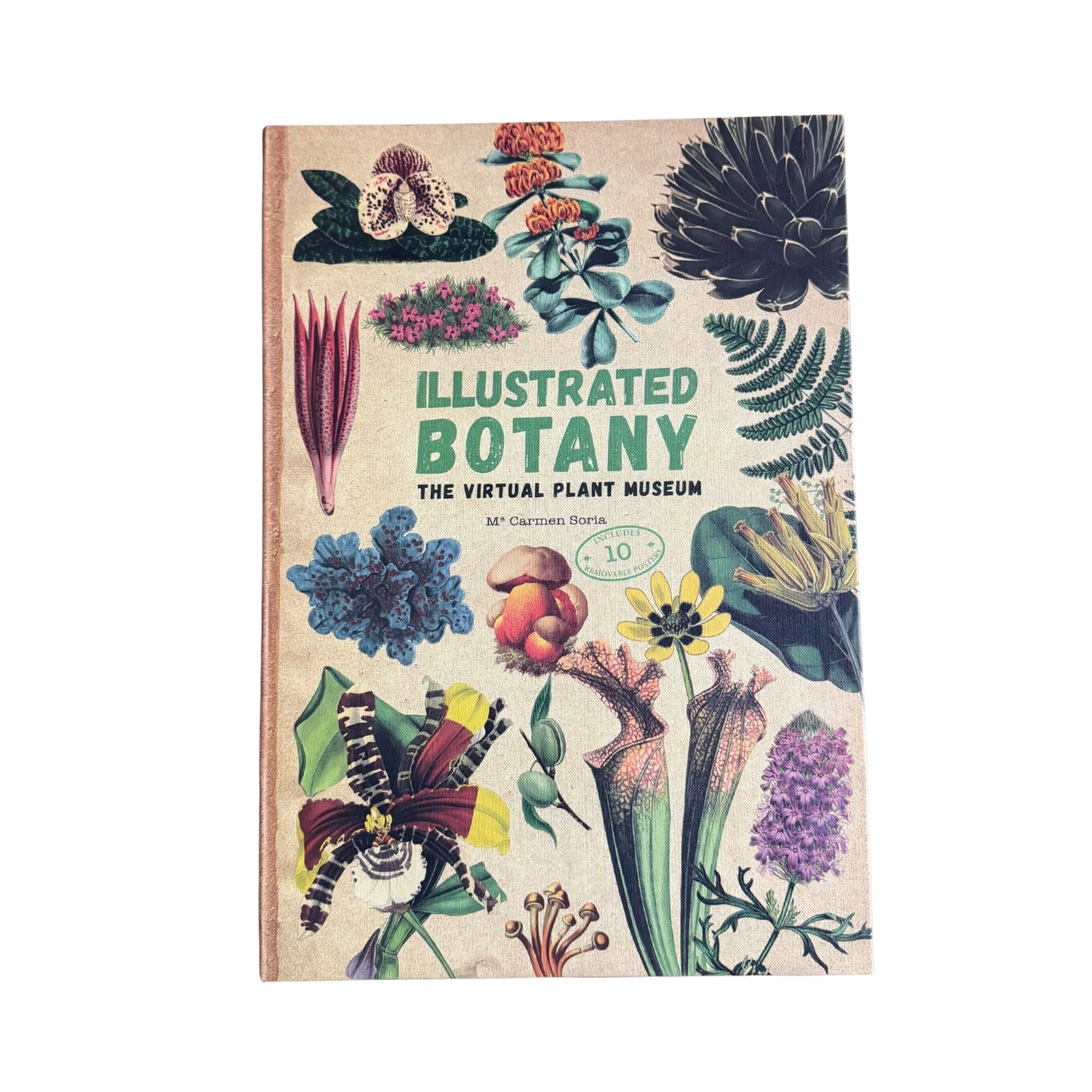 Illustrated Botany The Virtual Plant Museum