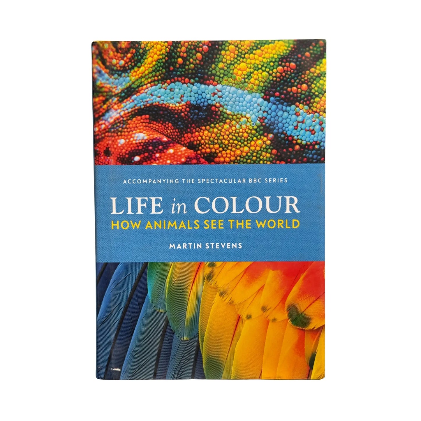 Life in Colour