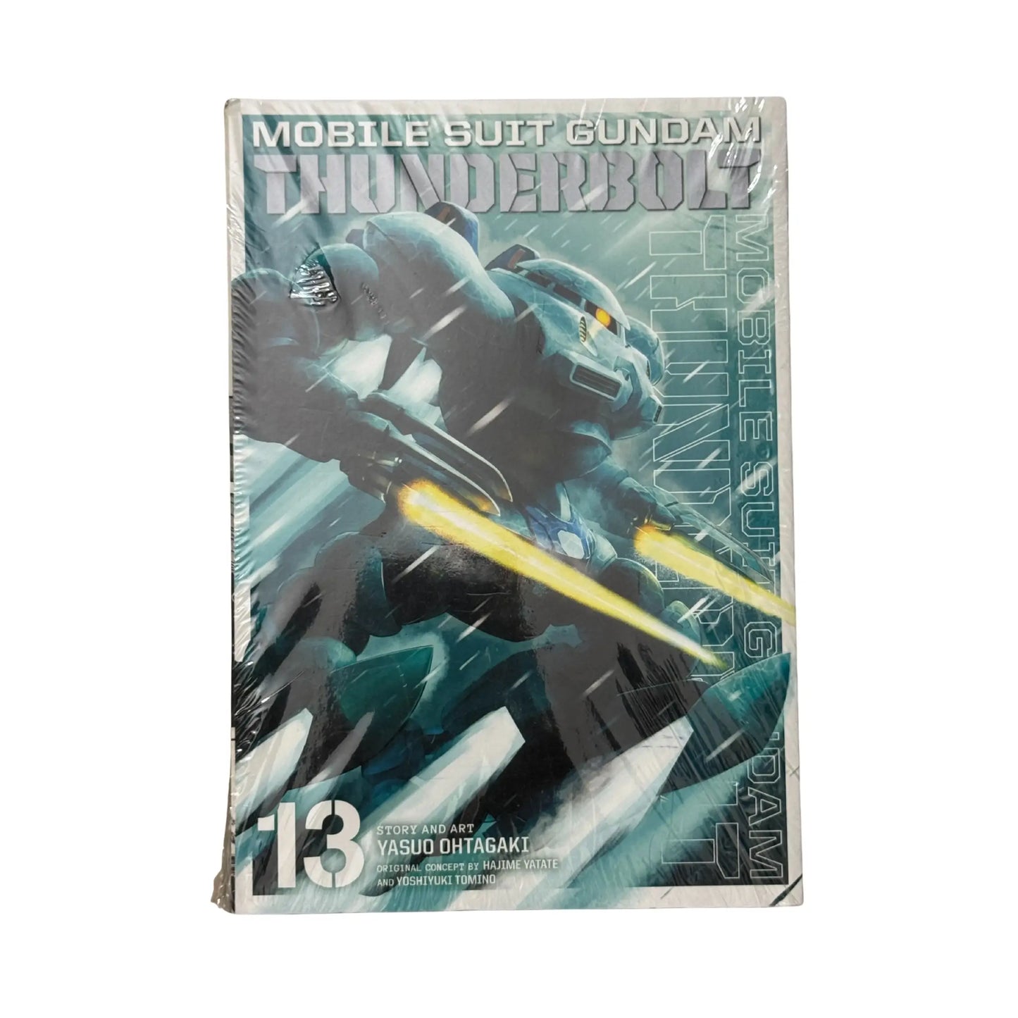 Mobile Suit Gundam Thunderbolt, Vol. 13 (13)