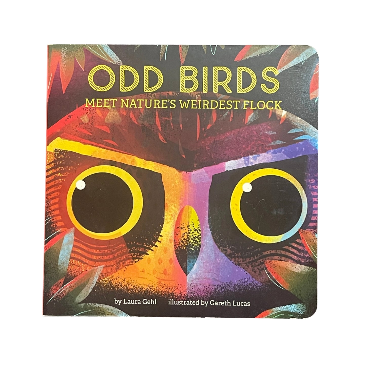 Odd Birds Meet Nature's Weirdest Flock