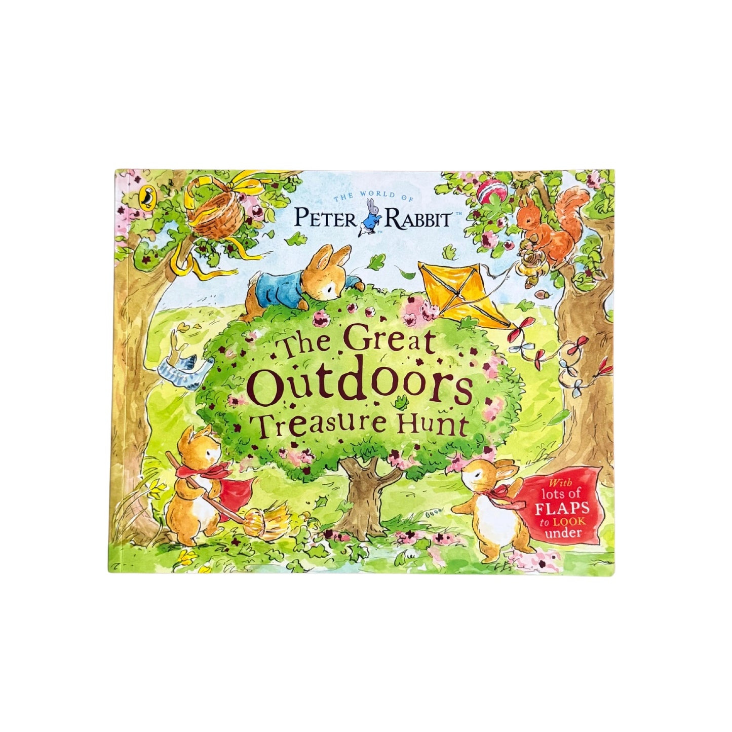 Peter Rabbit: the Great Outdoors Treasure Hunt A Lift-The-Flap Storybook