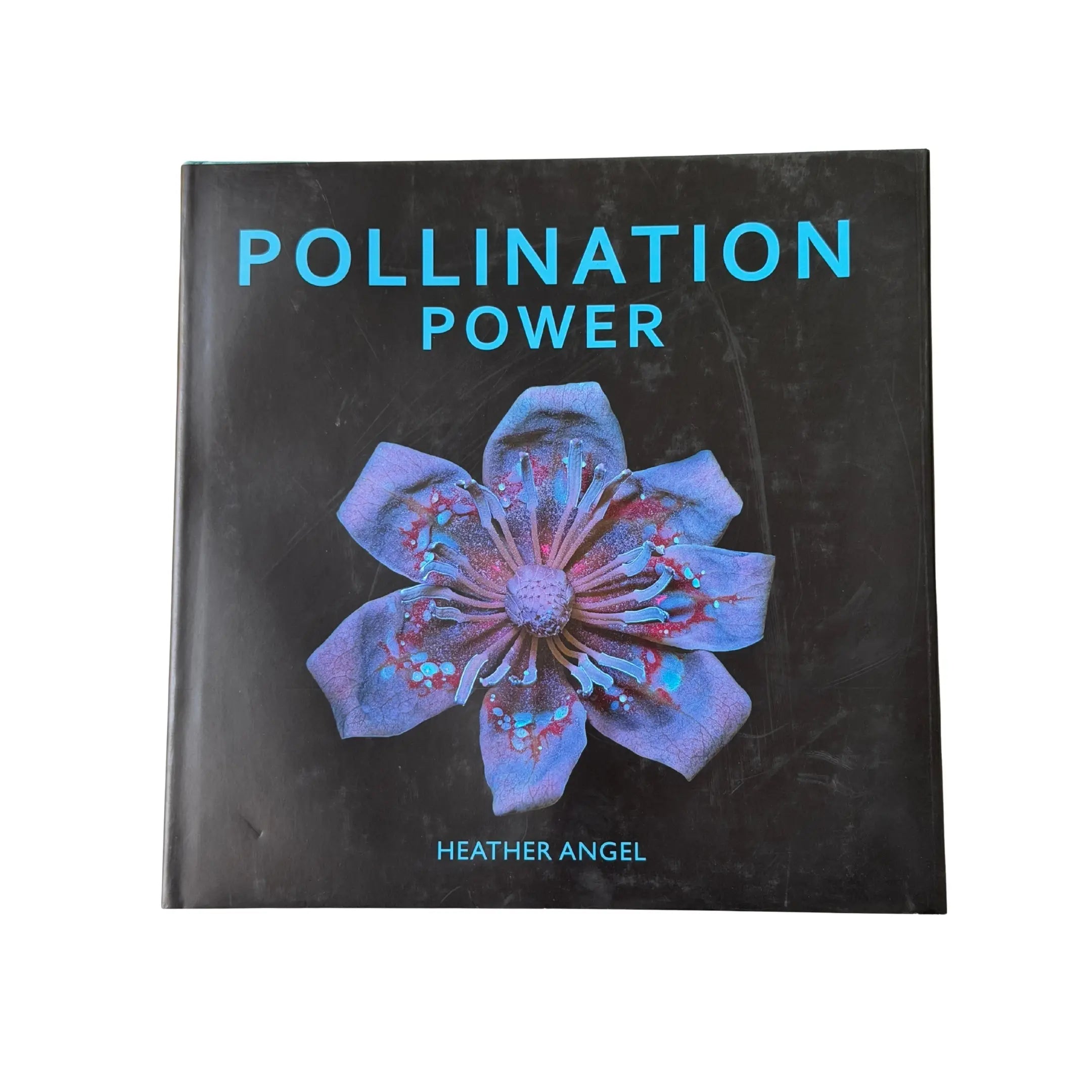 Pollination Power – The Books & Co