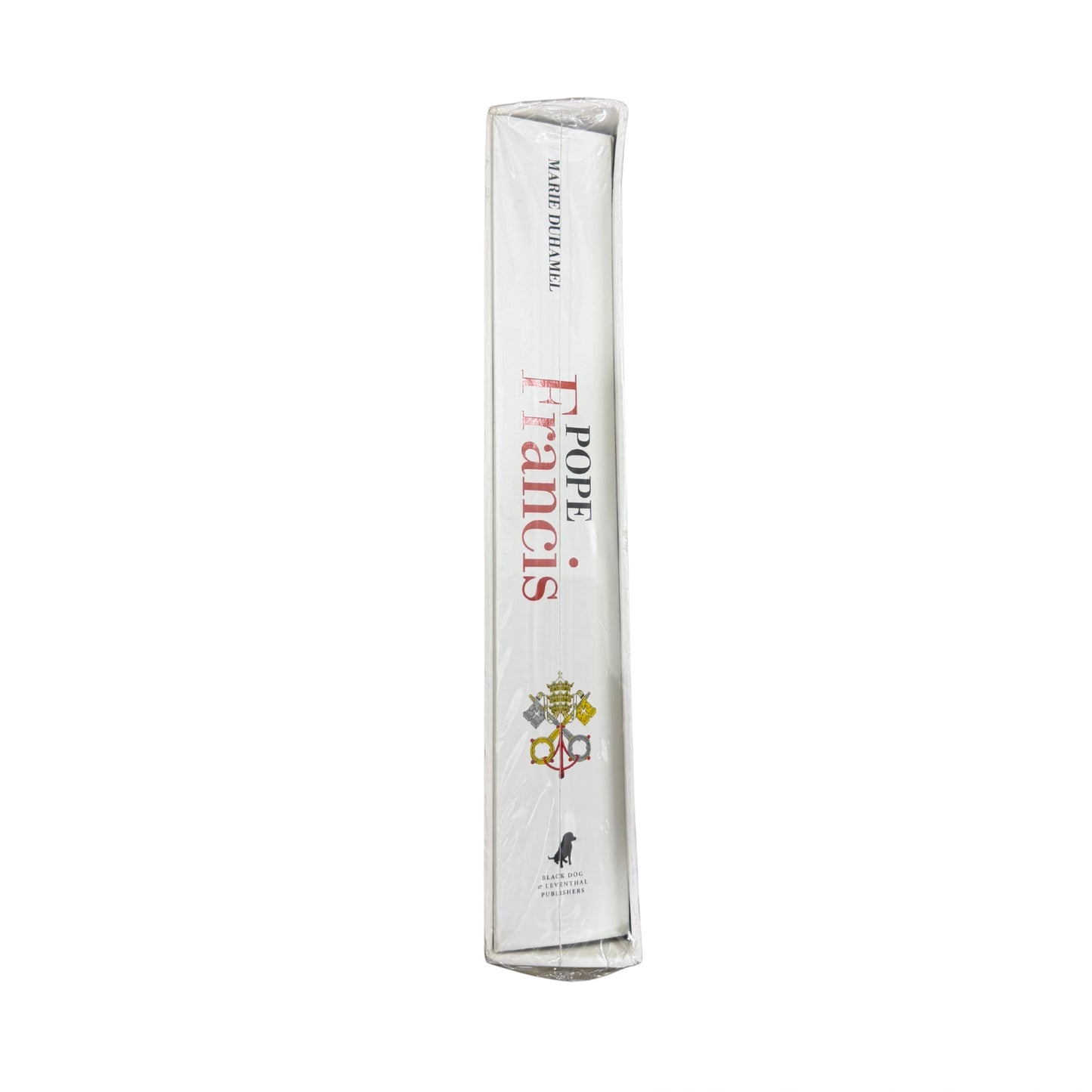 Pope Francis The Story of the Holy Father