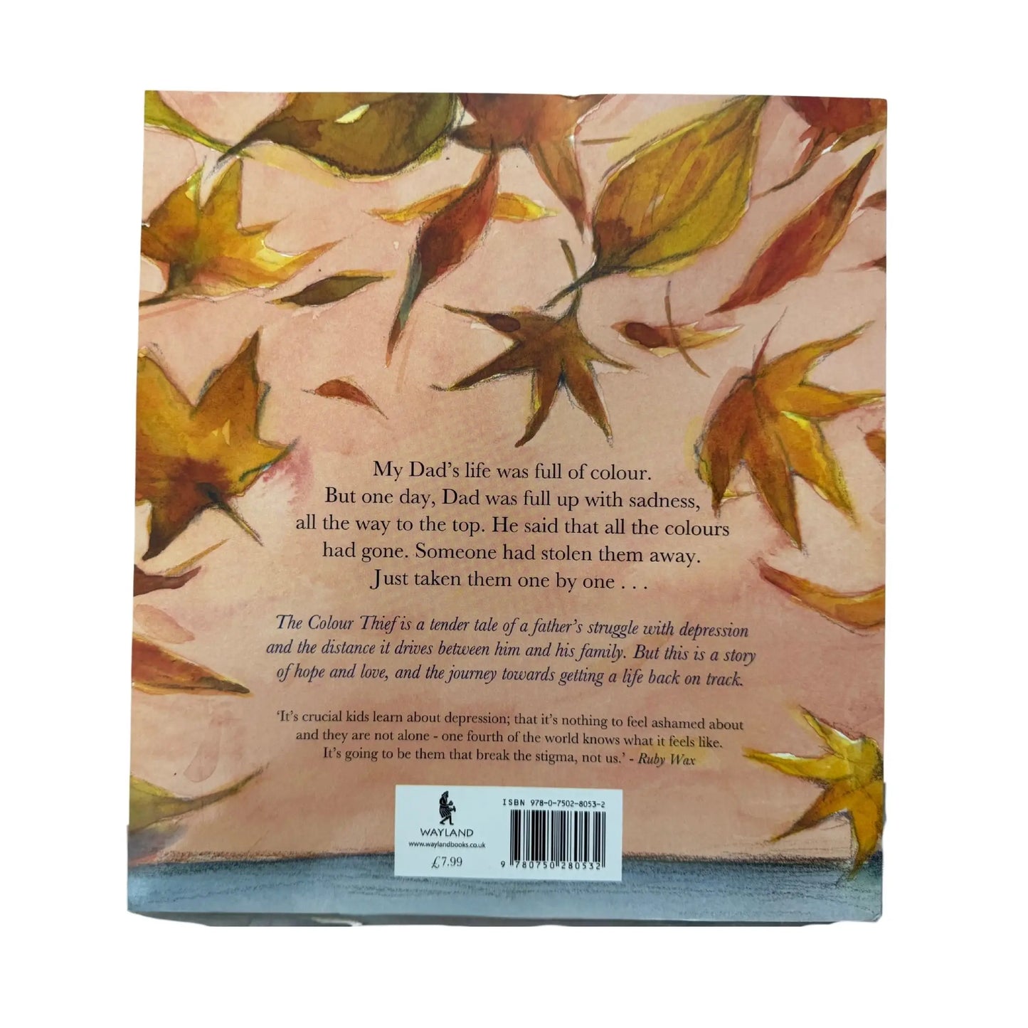 The Colour Thief: A family's story of depression