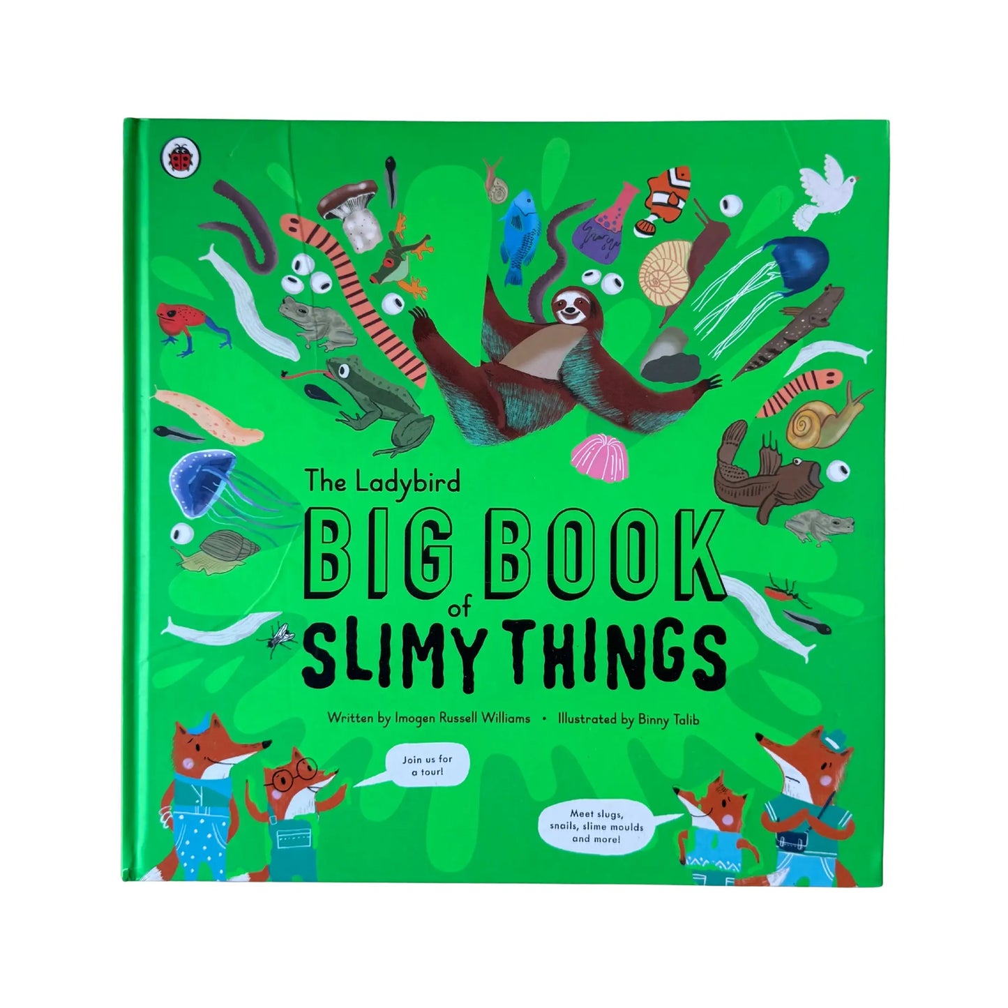 The Ladybird Big Book of Slimy Things