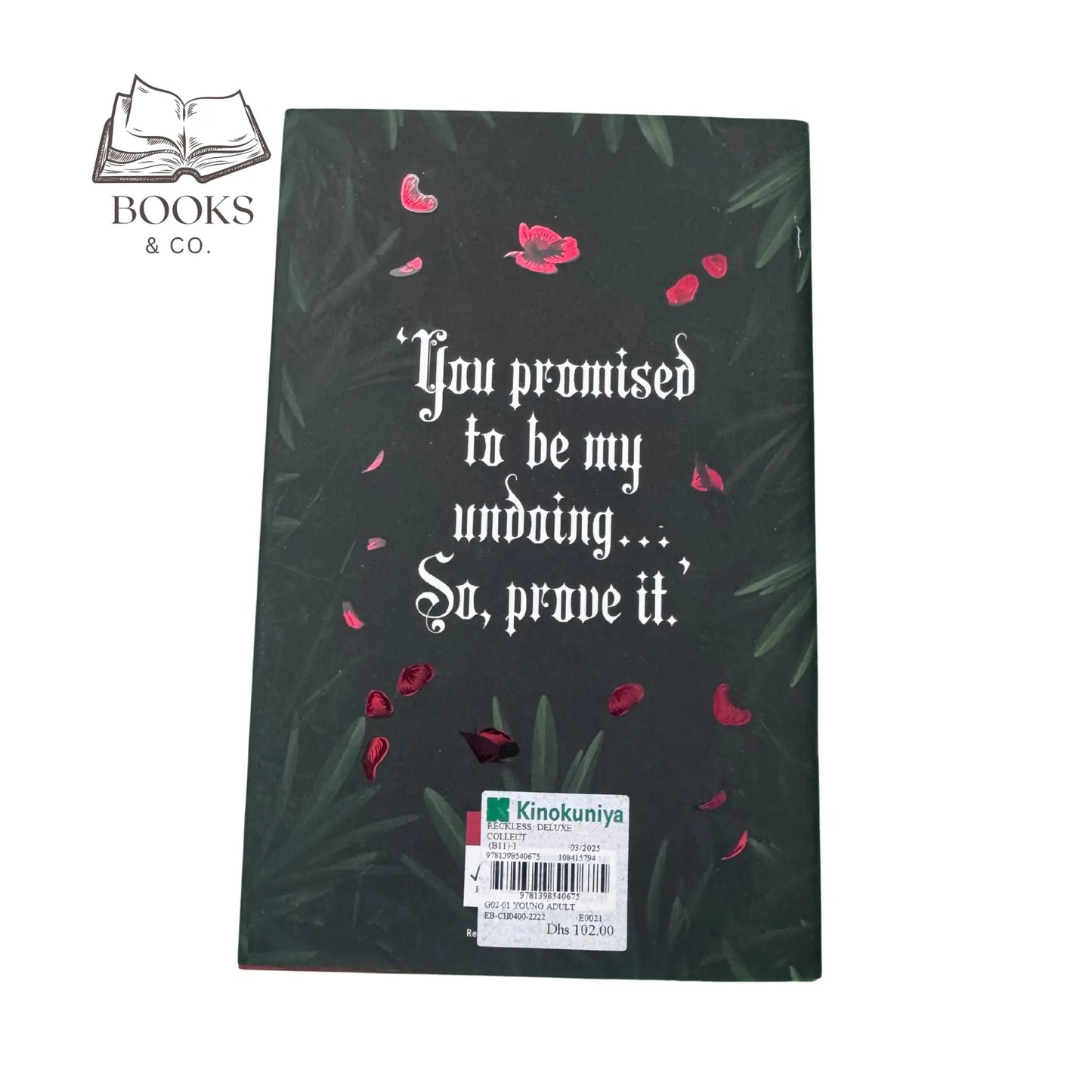 The Powerless Trilogy  - Reckless #2