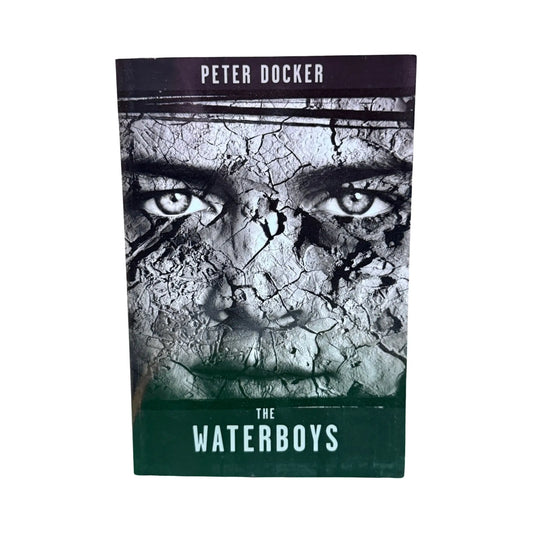 The Waterboys