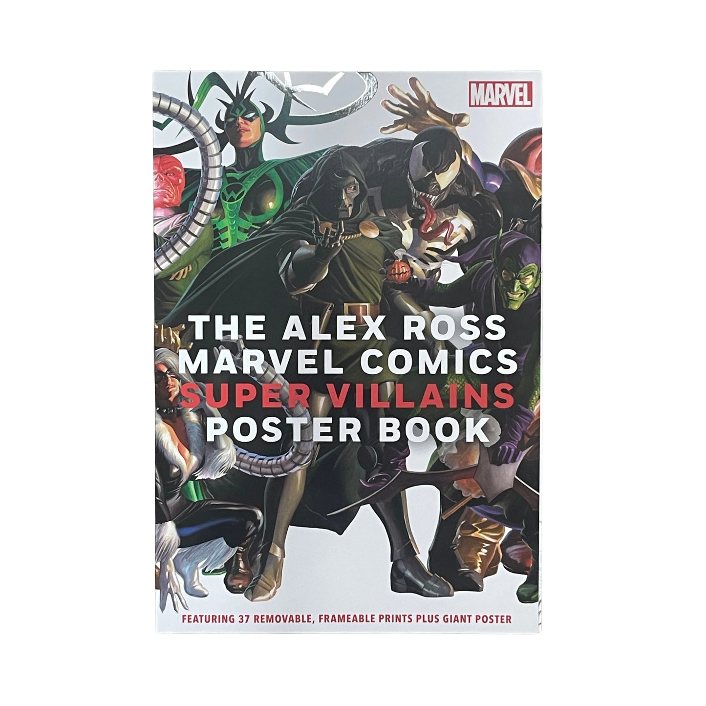 The Alex Ross Marvel Comics Super Villains Poster Book