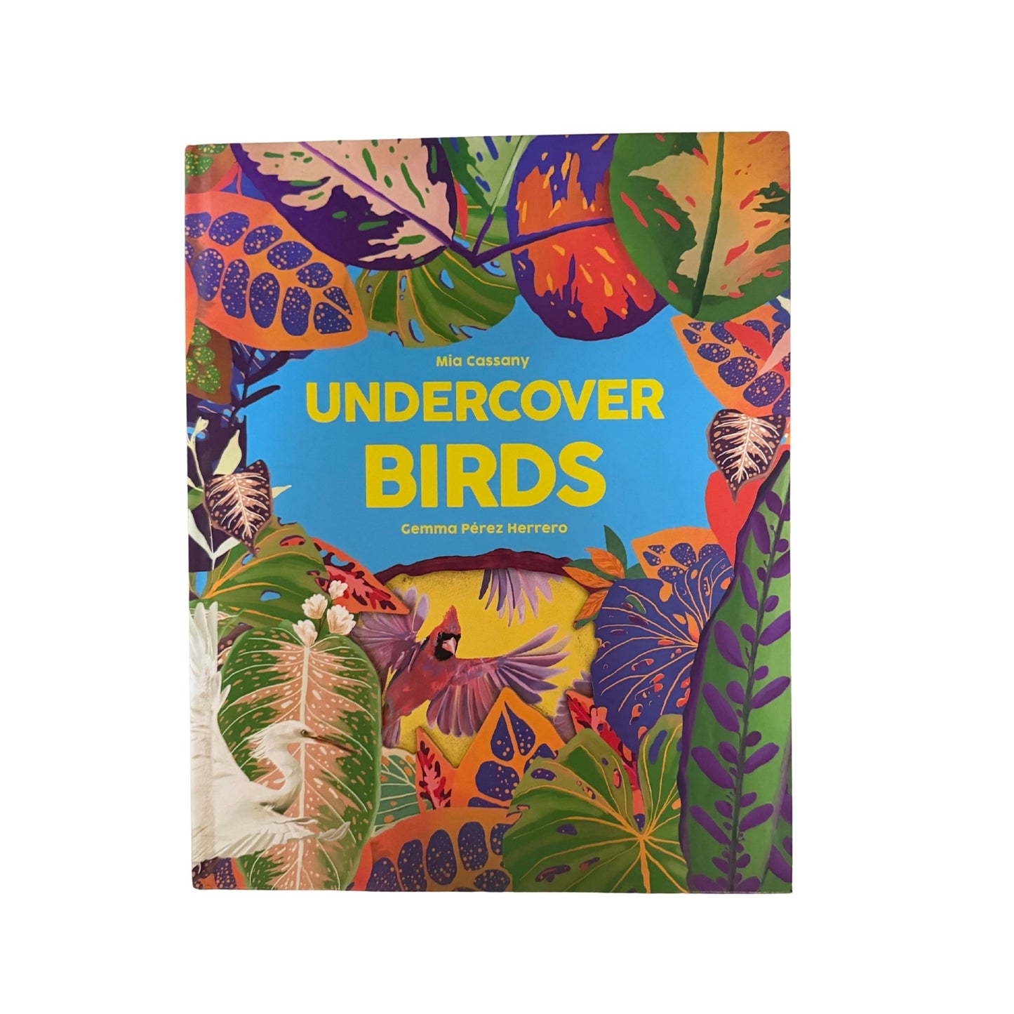 Undercover Birds