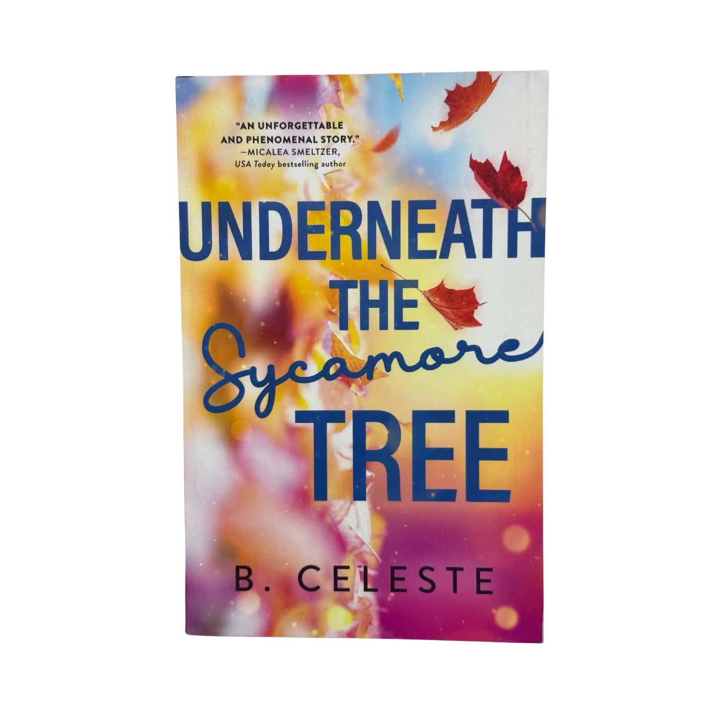 Underneath the Sycamore Tree